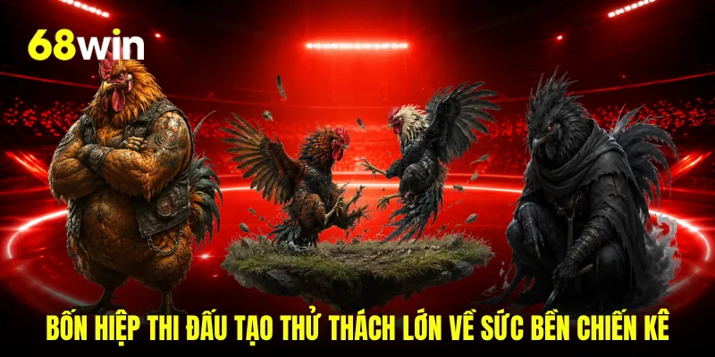 Bốn hiệp thi đấu tạo thử thách lớn về sức bền chiến kê