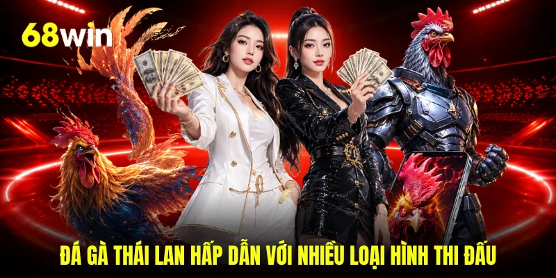 Đá gà Thái Lan hấp dẫn với nhiều loại hình thi đấu